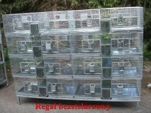 SZYLEX allevamento di cincillà alimentano gabbie per foraggio di cincillà in Polonia 07