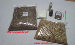 SZYLEX allevamento di cincillà alimentano gabbie per foraggio di cincillà in Polonia 11